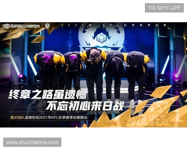 开云体育娱乐官网入口安全可靠的登录方式指南，帮助用户轻松进入官方平台享受精彩赛事